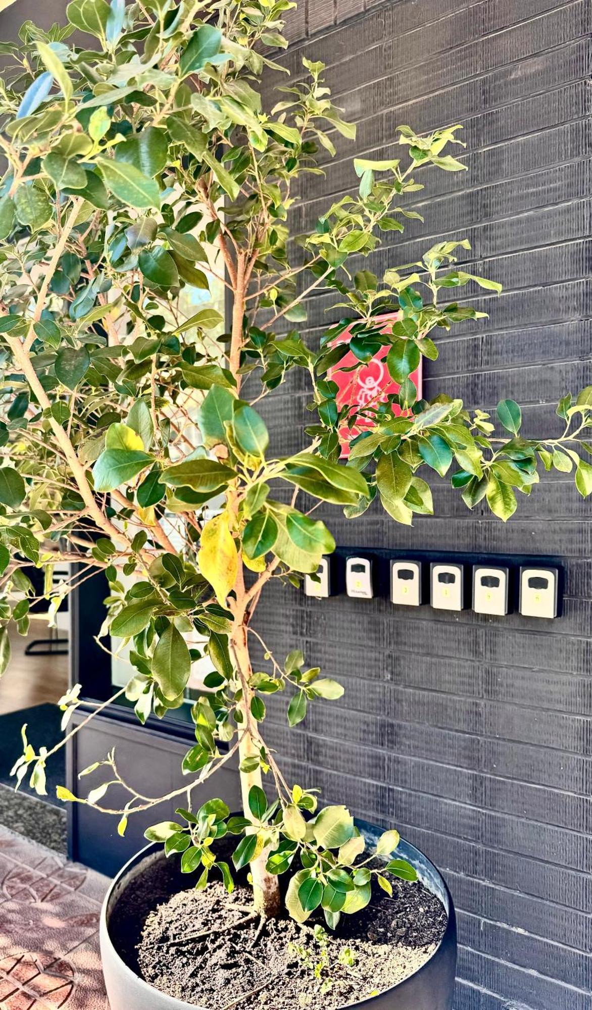 Garay Apartments 베니돔 외부 사진